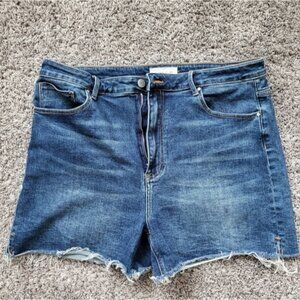 Risen Jeans Jean Shorts 16W